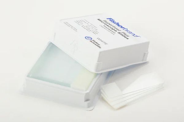 Fisherbrand™ Superfrost™ Plus Microscope Slides, 25 x 75mm, Glass, White, ¾" SuperFrost Tab, 2 Packs of 72 (144/Pack)