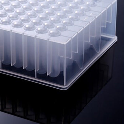 Biologix® Deep Well Plates-2.2mL (Square Well) 24/Pack