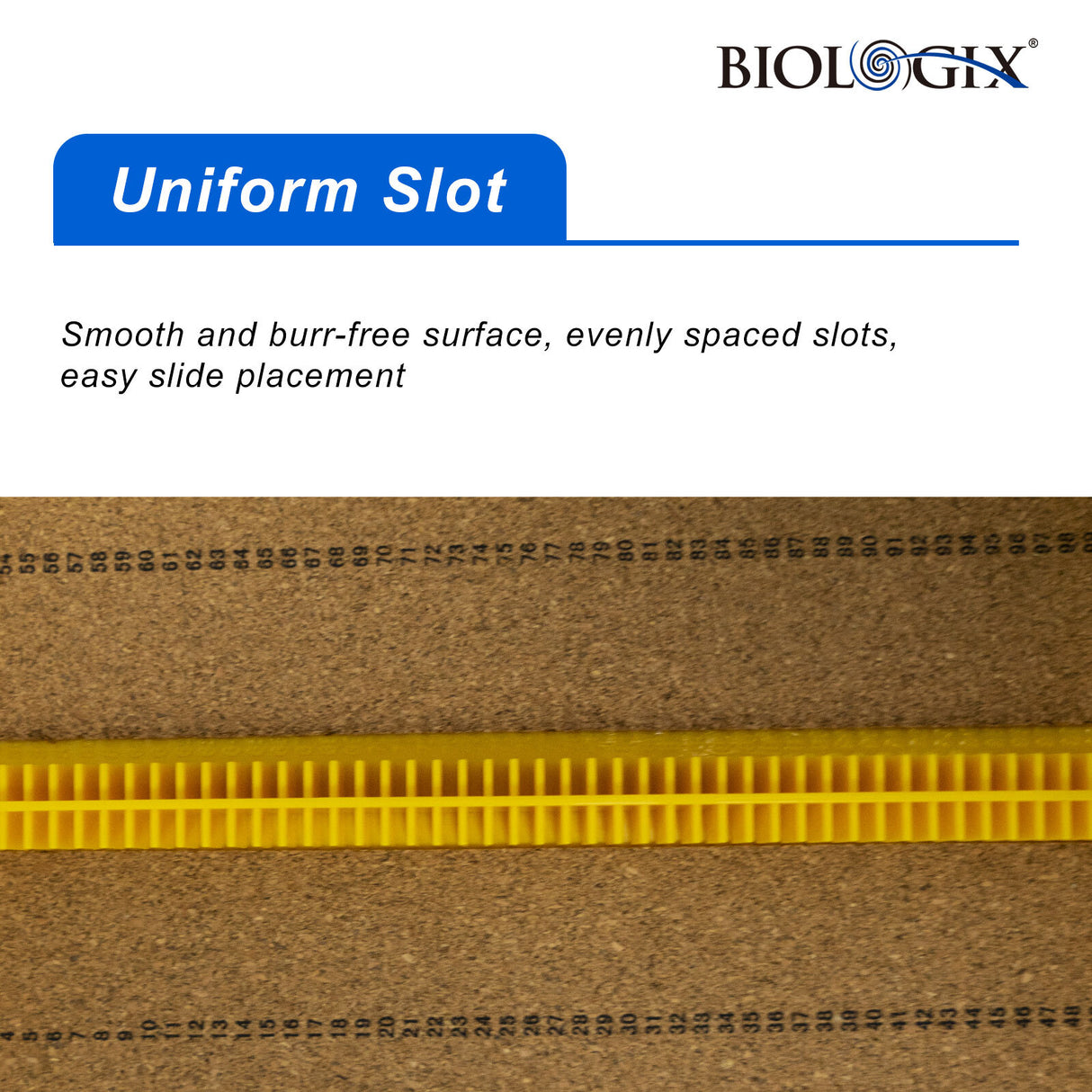 Biologix® Microscope Slide Storage Boxes with Cork Lining (100 Place), 5/Pack, 30/Case