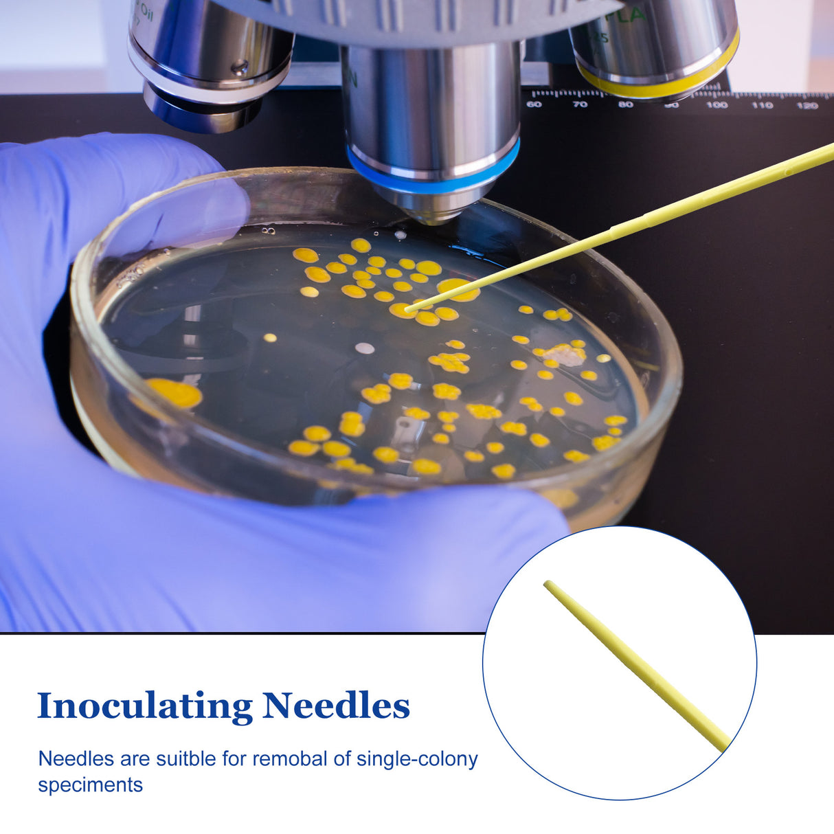 Biologix® Inoculating Needles, Yellow, 25/Bag, 40Bags/Case