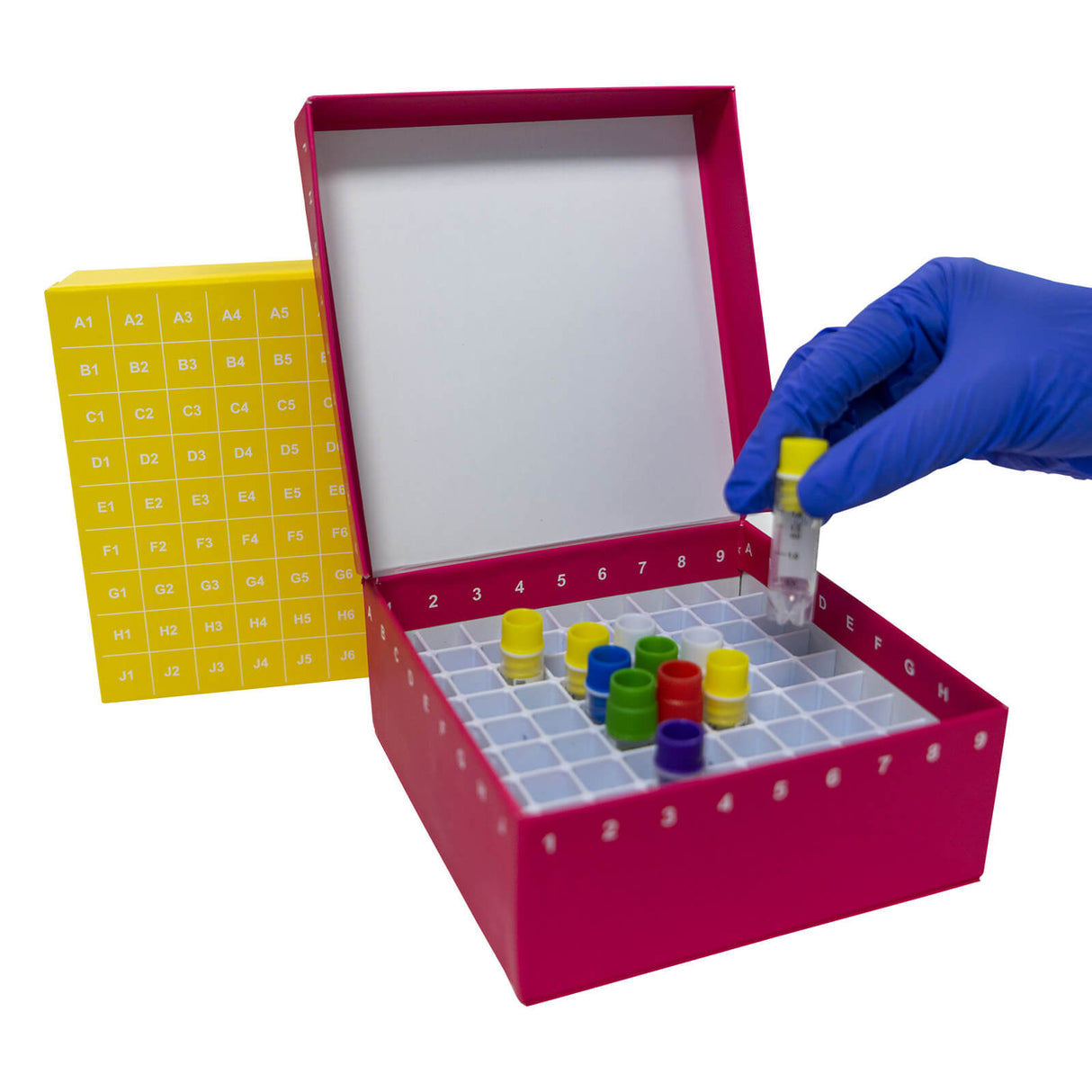 CryoKING® ID-Color™ 2in. Cardboard Freezer Boxes (81 well), 5Pcs/Pack, 20Pcs/Case, 100 Pcs/Case