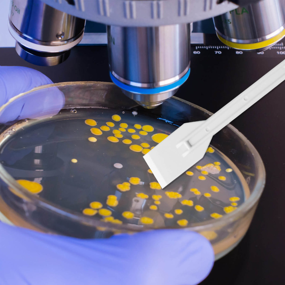 Biologix® Cell Lifters-18cm, 1/Bag, 100/Case