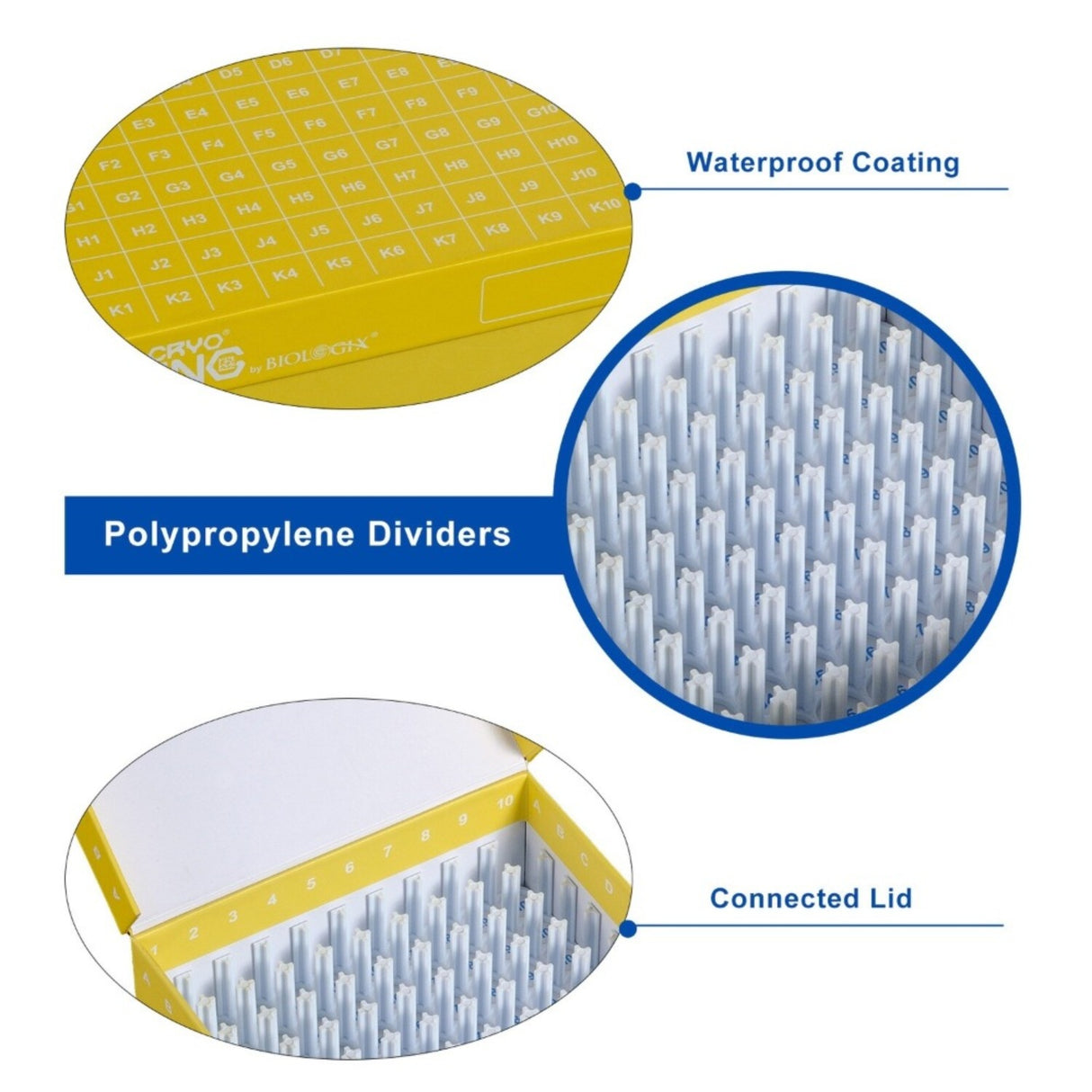 CryoKING® ID-Color™ 2in Cardboard Freezer Boxes (100-well), 5/Pack, 20/Case