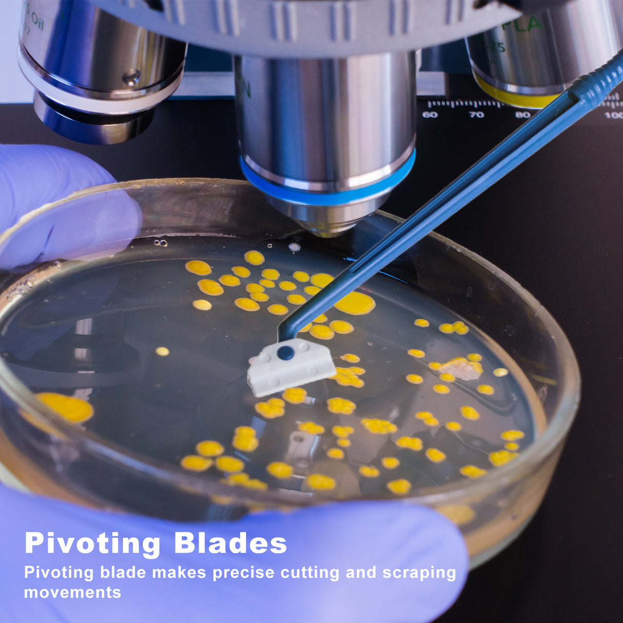 Biologix® Cell Culture Scraper, 18cm, Sterile, Individually Packaged, 100 Pcs /Case