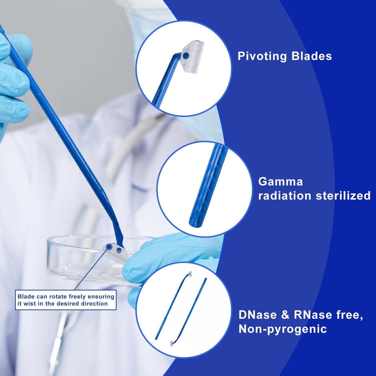 Biologix® Cell Scrapers-24.3cm Handle, 1/Bag, 200/Case