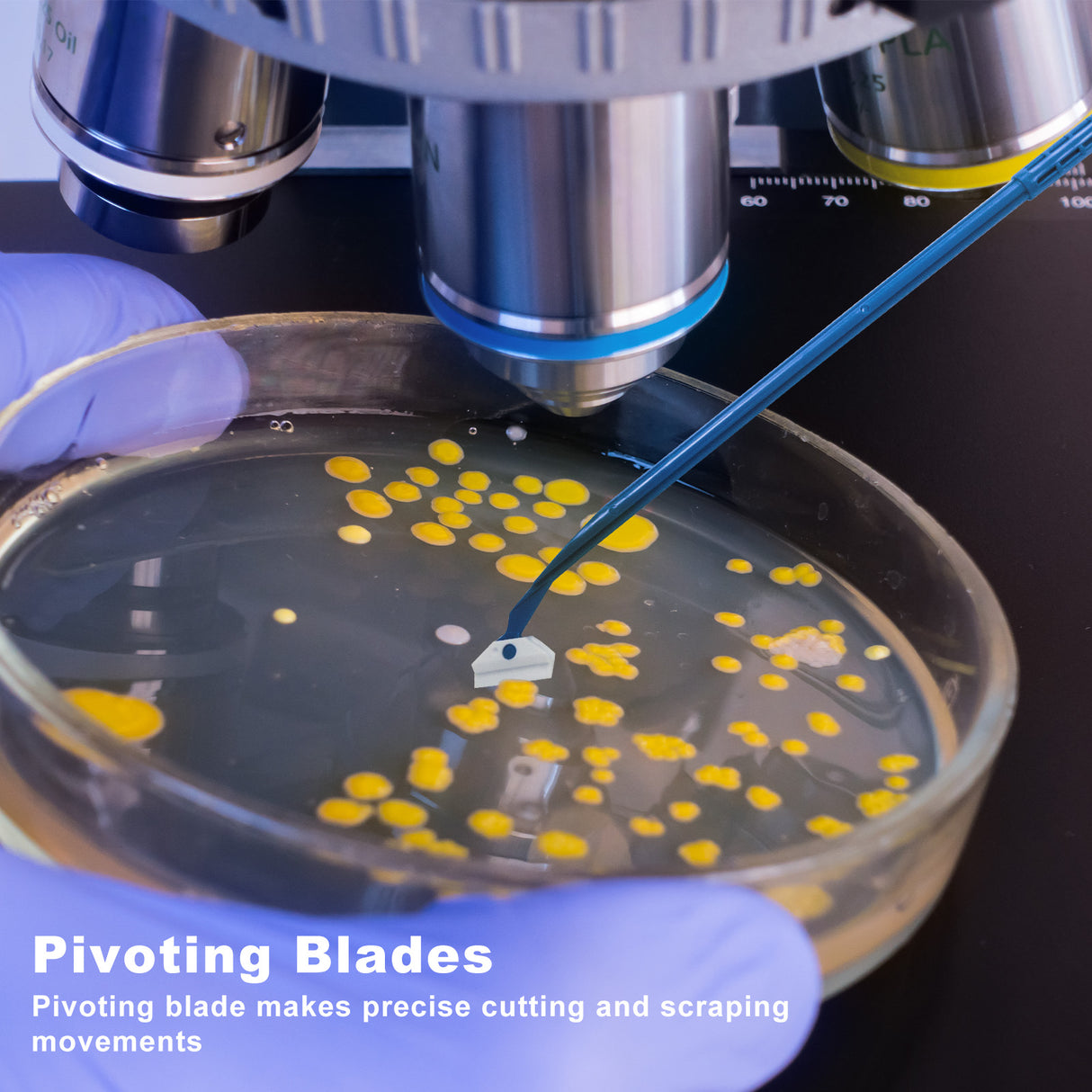 Biologix® Cell Scrapers-24.3cm Handle, 1/Bag, 200/Case