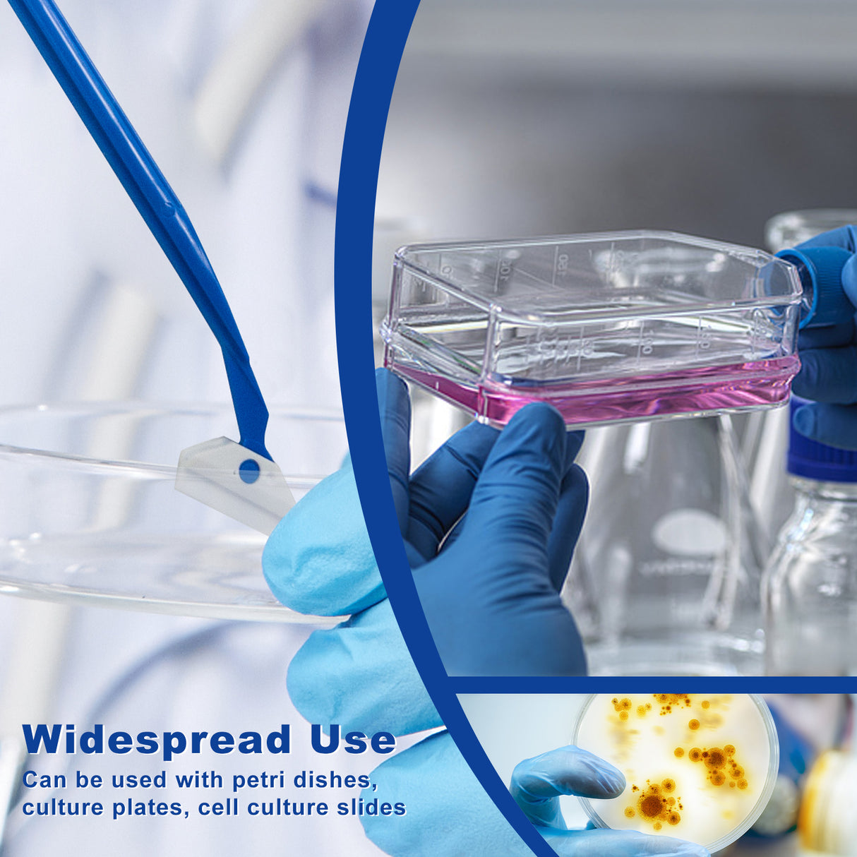 Biologix® Cell Scrapers-24.3cm Handle, 1/Bag, 200/Case