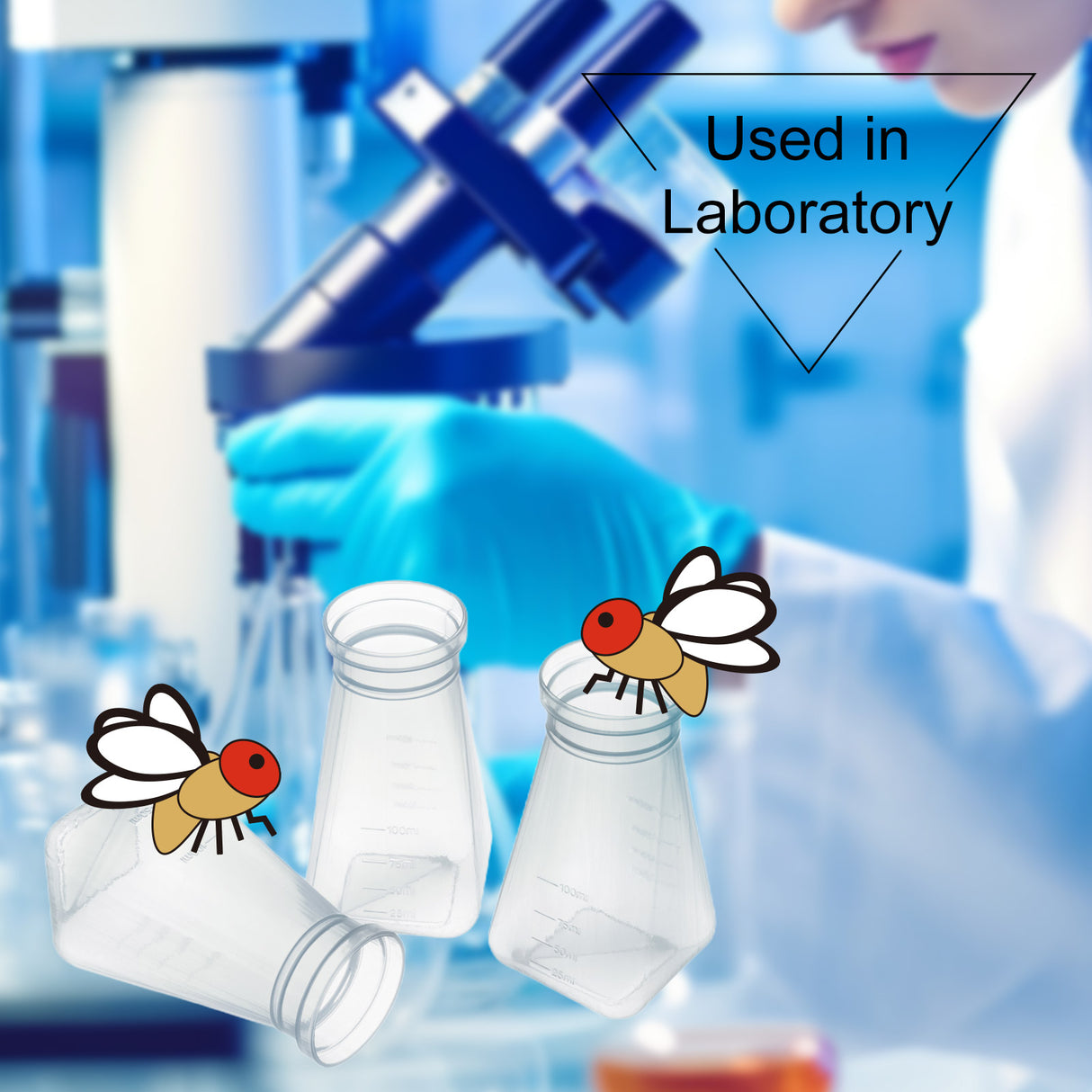 Drosophila Bottles, 6oz (177ml), Square Bottom, Bulk/Tray Package, 200 Pcs/Case