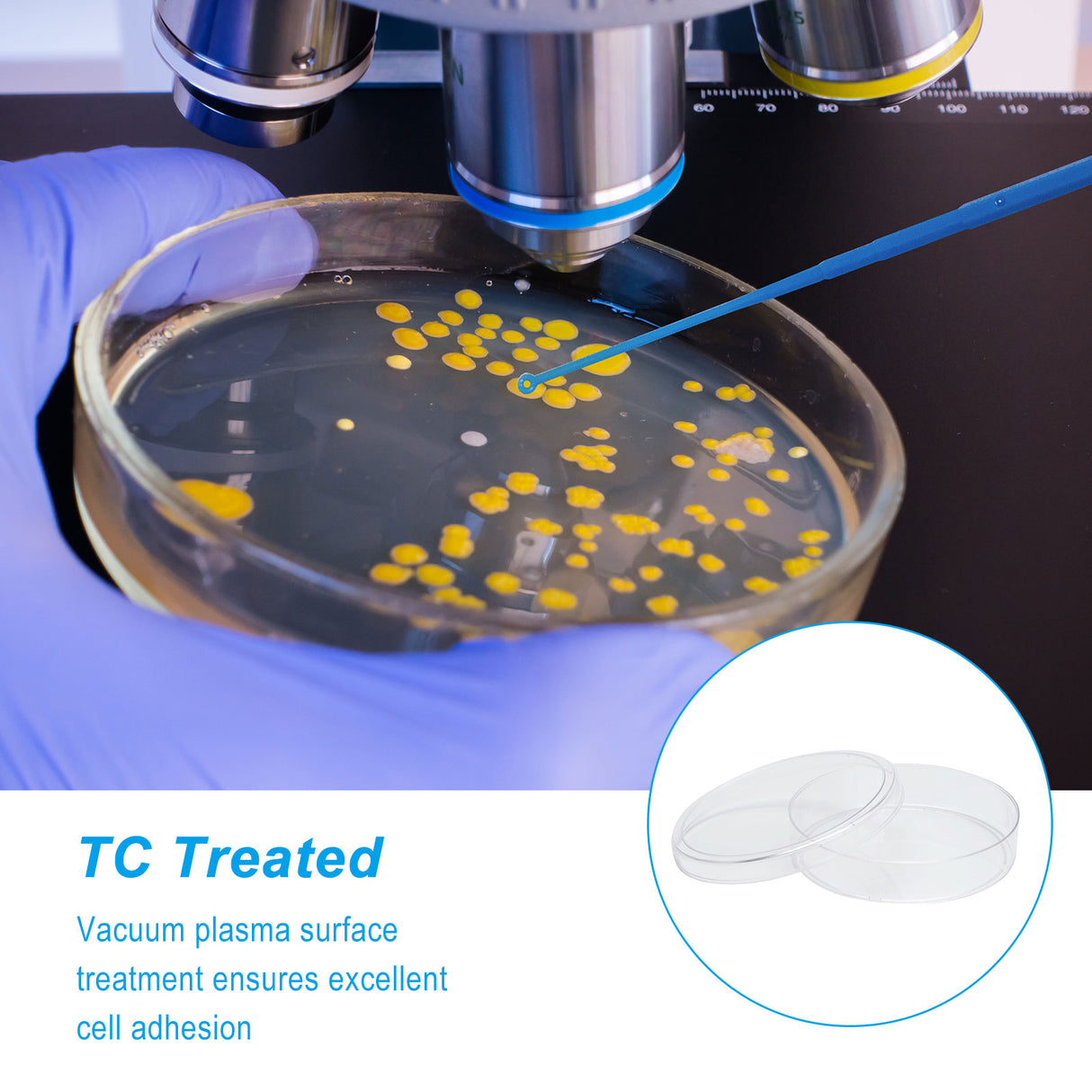 Biologix® Cell Culture Dishes-90x20mm, 10/Pack, 200/Case
