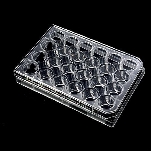 Cell Culture Plates-6/12/24/48/96-Well, 1/Pack, 50/Case