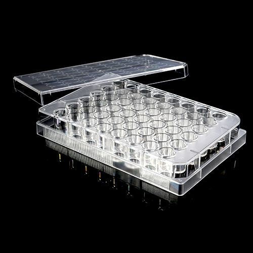 Cell Culture Plates-6/12/24/48/96-Well, 1/Pack, 50/Case