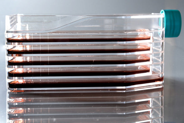 5-Layer Cell Culture Flask, Straight Neck, TC, sterile 1/pk, 8/cs