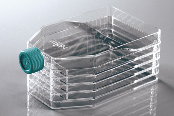 5-Layer Cell Culture Flask, Straight Neck, TC, sterile 1/pk, 8/cs