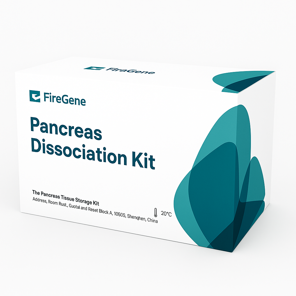 Pancreas Dissociation Kit – High-Fidelity Enzymatic Digestion