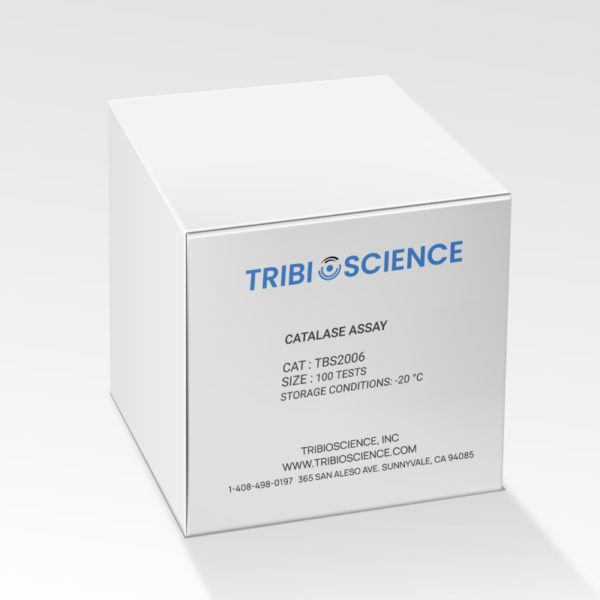 Catalase Assay