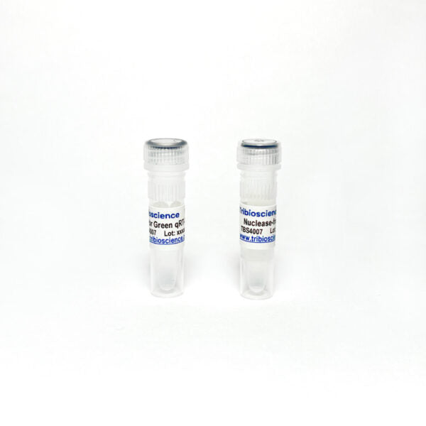 One-Step Sybr qRT-PCR