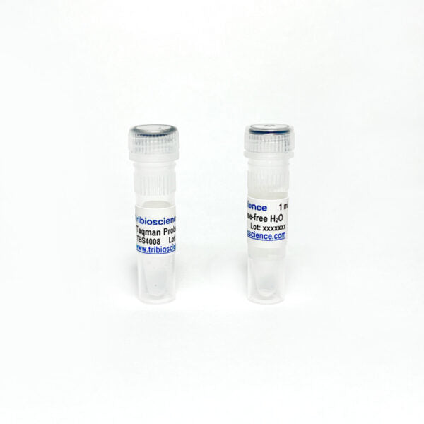 One-Step TaqProbe qRT-PCR Kit