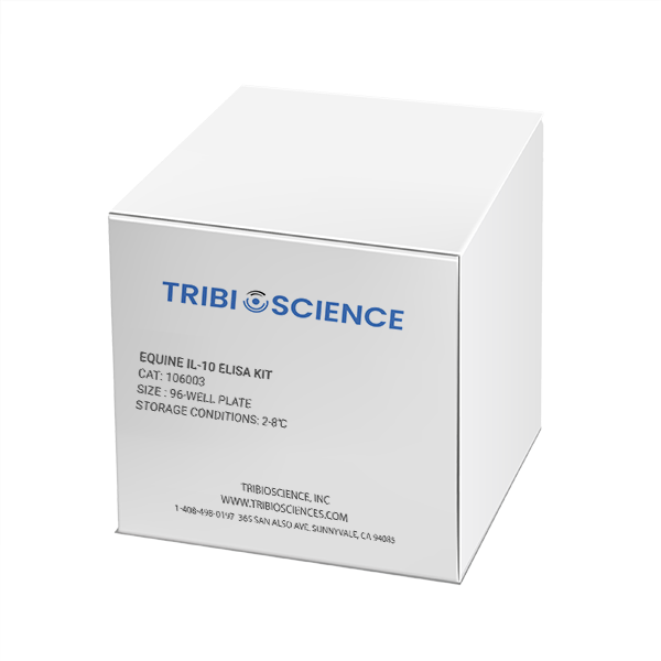 Equine IL-10 ELISA Kit