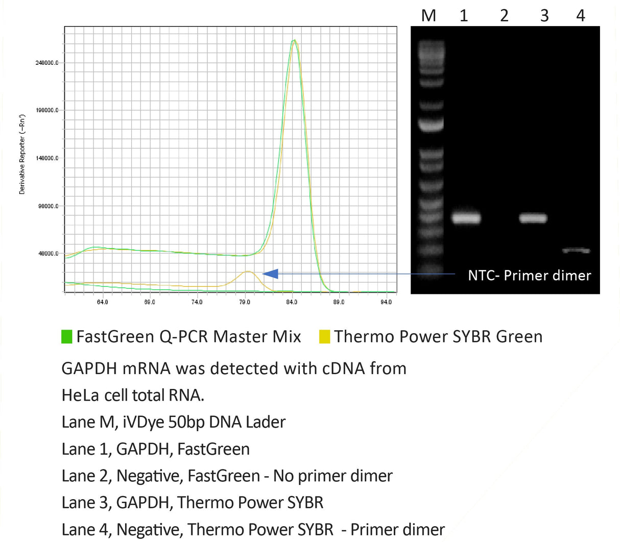 FastGreen Q-PCR Master Mix (2X), Fluorescein