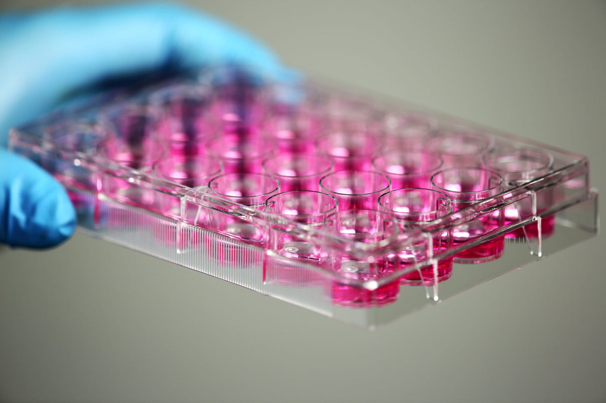 NEST Cell Culture Plate, flat, TC, sterile, Bulk, 10/pk (6-96 well)