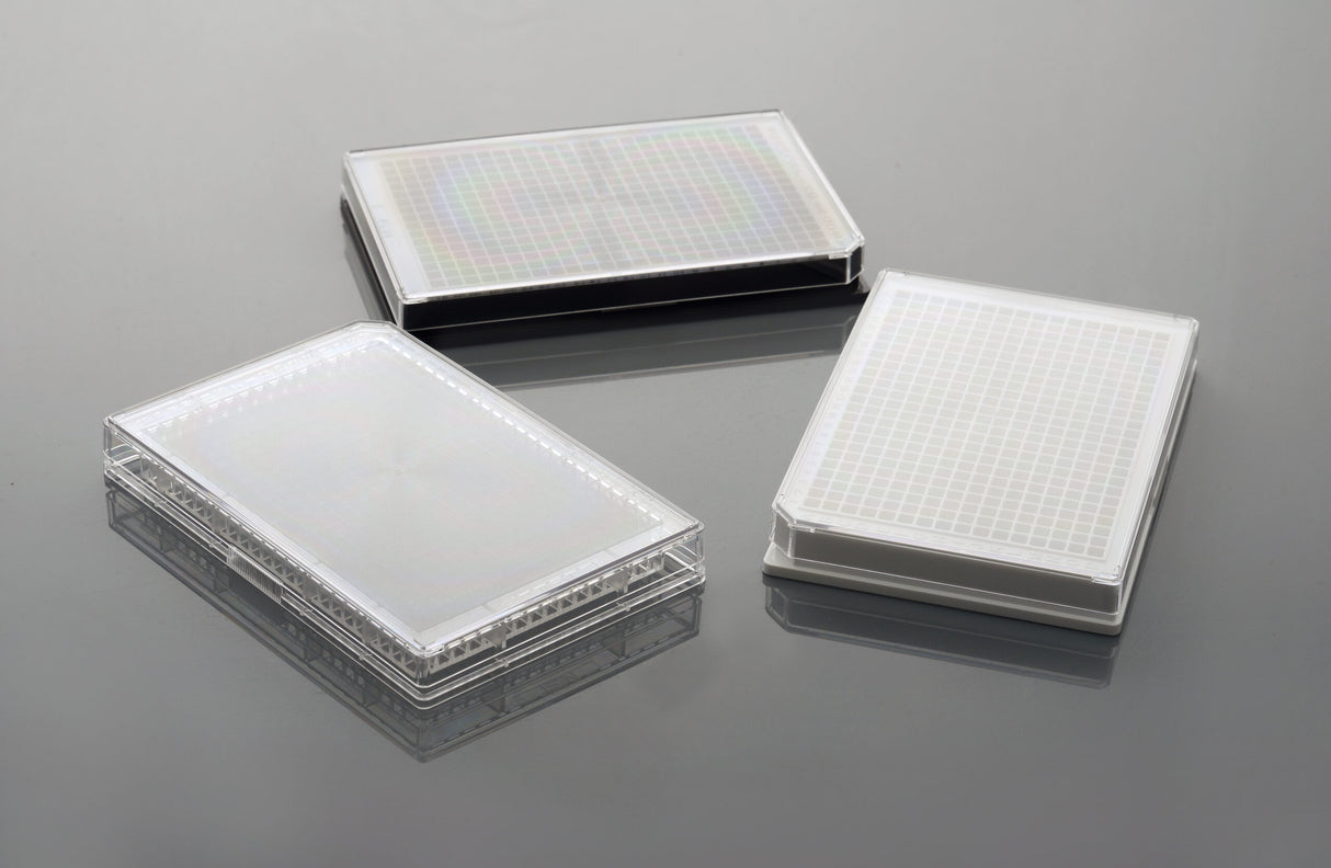 NEST 384 Well Cell Culture Plate, White, Flat bottom, TC, Sterile, 1/pack, 100/cs