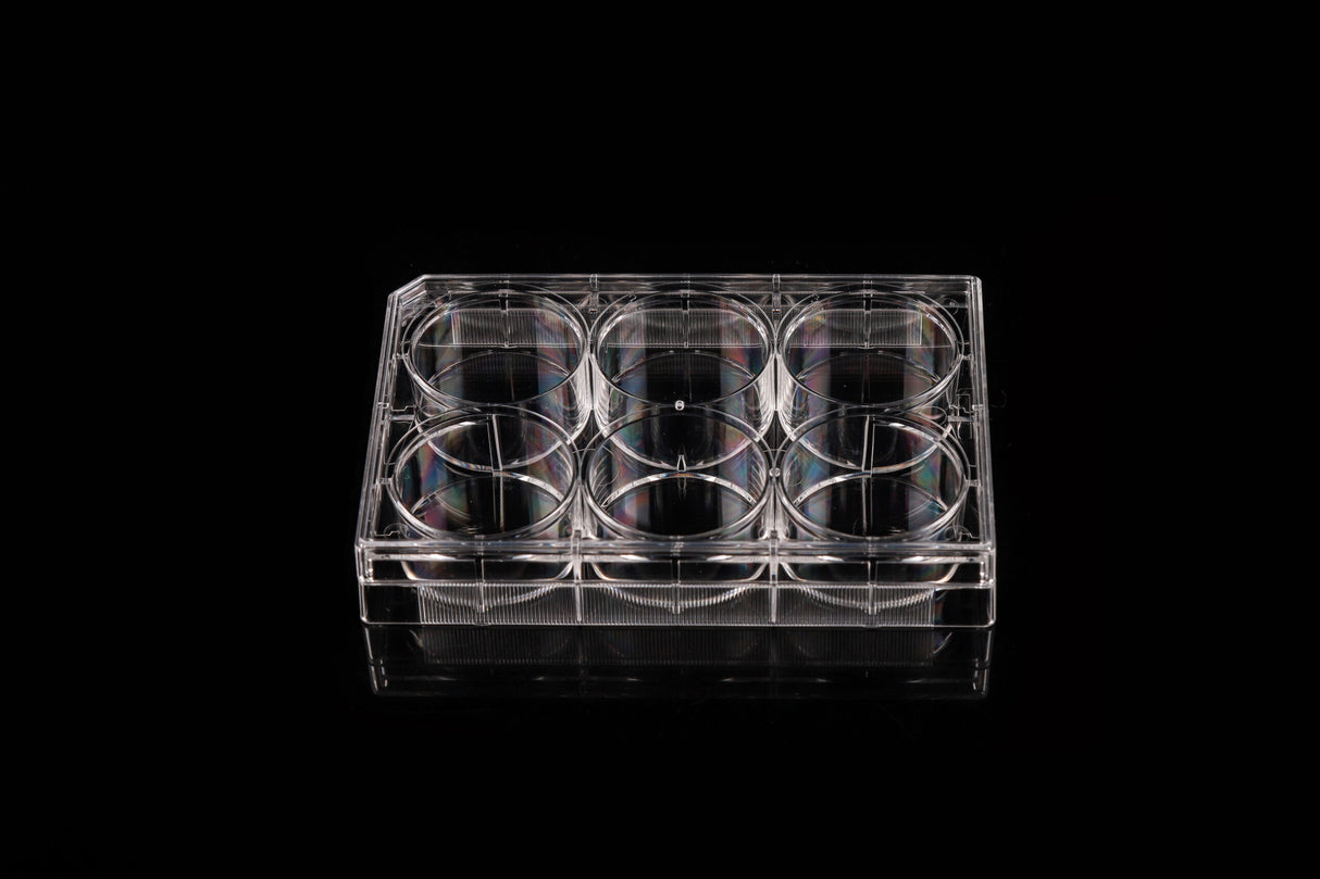 NEST Cell Culture Plate, flat, TC, sterile, Bulk, 10/pk (6-96 well)