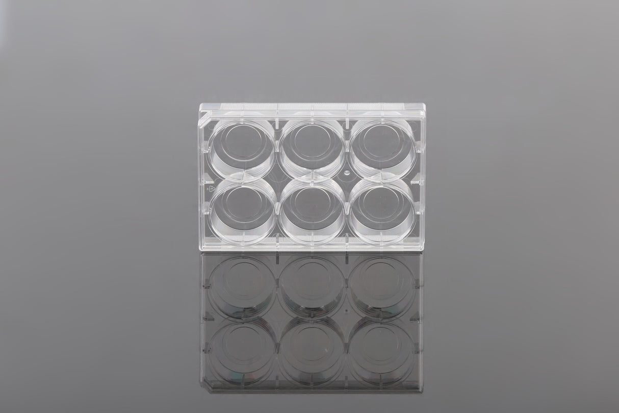 NEST Glass Bottom Cell Cutlure Plates, TC, Sterile, 1/pk, 10/cs (6 well and 24 well)