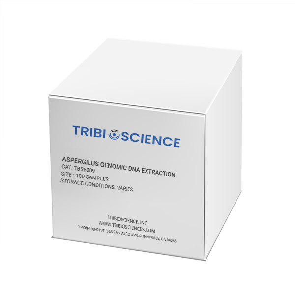 Aspergilus Genomic DNA Extraction