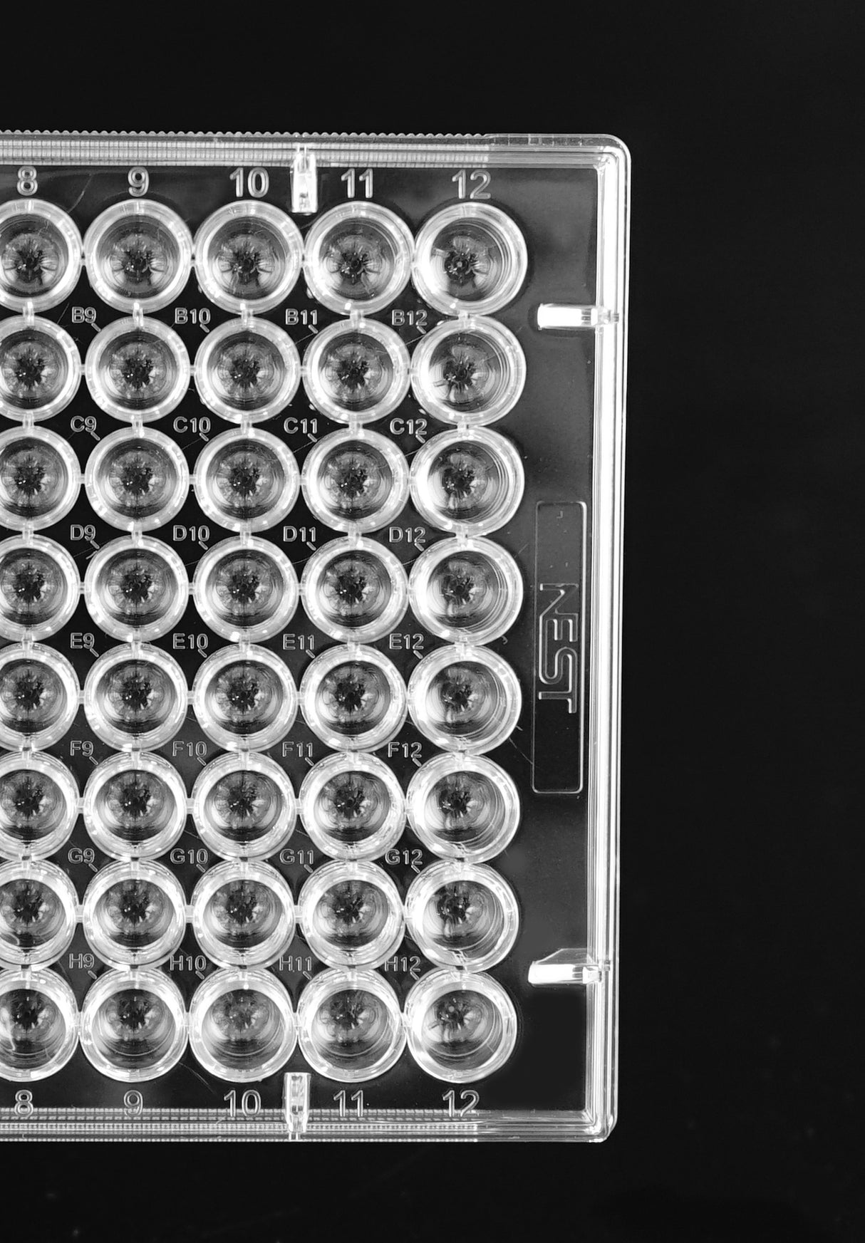 NEST 96 Well Cell Culture Plate, U-bottom, sterile 1/pk, 100/cs