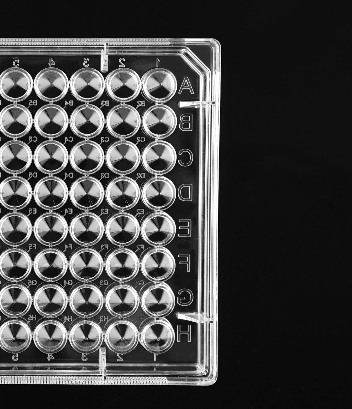 NEST 96 Well Cell Culture Plate, V-bottom, sterile 1/pk, 100/cs