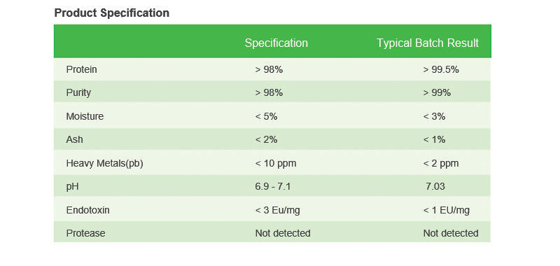 Bovine Serum Albumin, Standard Grade, pH 7.0