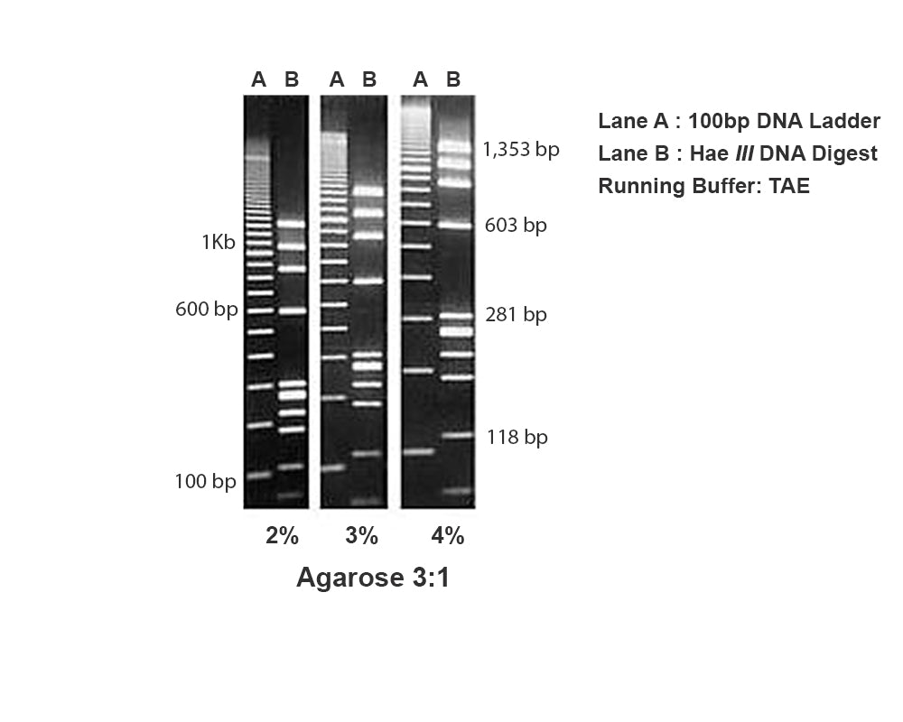 Agarose 3:1