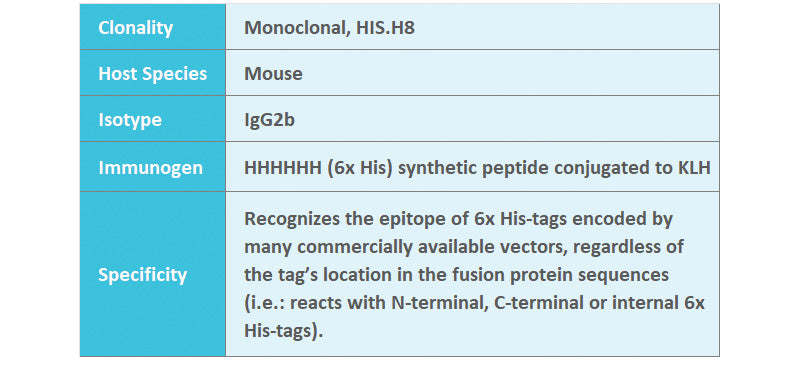 His-Tag Mouse Monoclonal Antibody, 1mg/ml