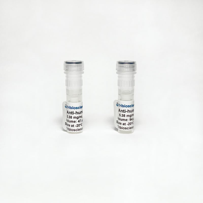 Monoclonal Anti-human IgM Antibody (TMI042)