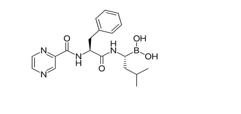 Bortezomib, Free Base, 99%