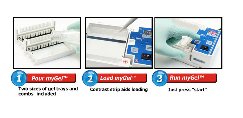 myGel Mini Electrophoresis System, 115V