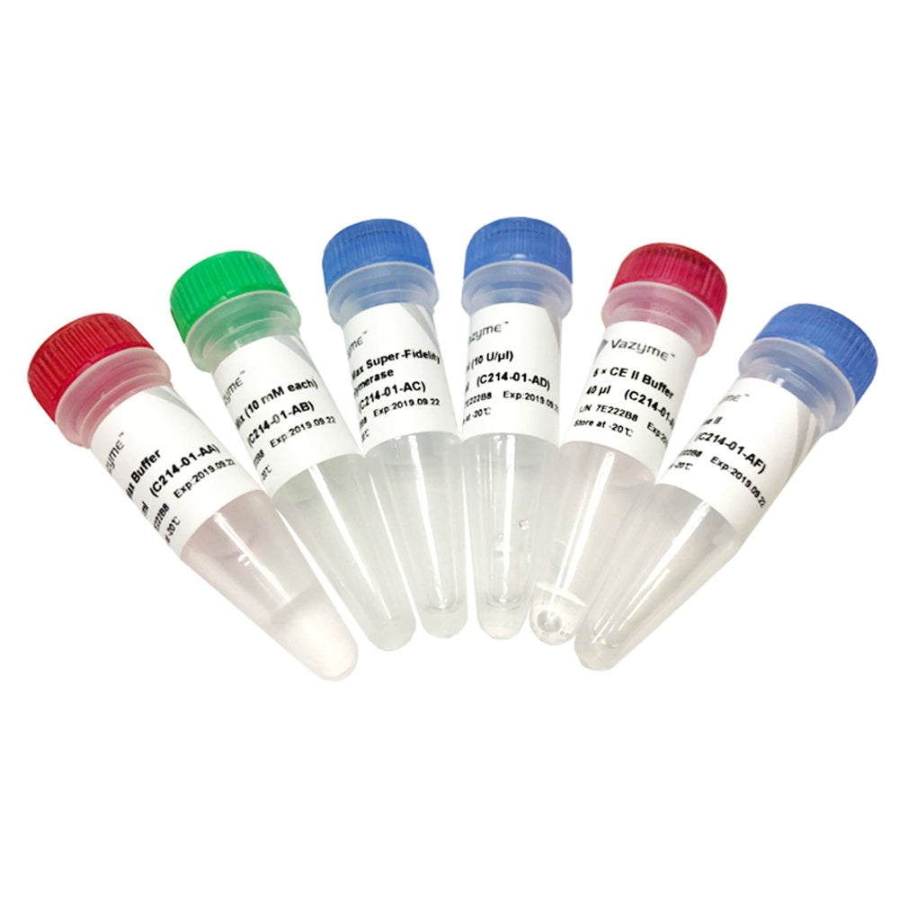 Mut Express II Fast Mutagenesis Kit V2 C214