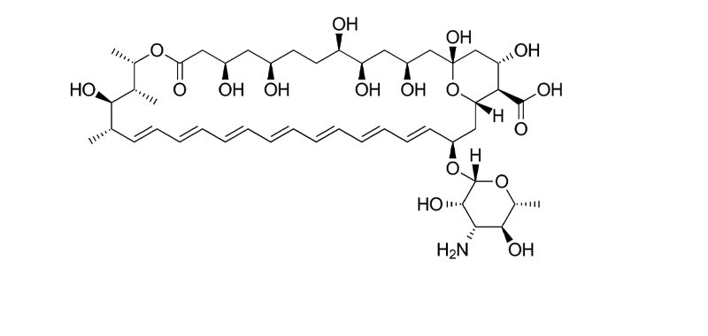 Amphotericin B, Cell culture tested ,250ug/ml 100ml