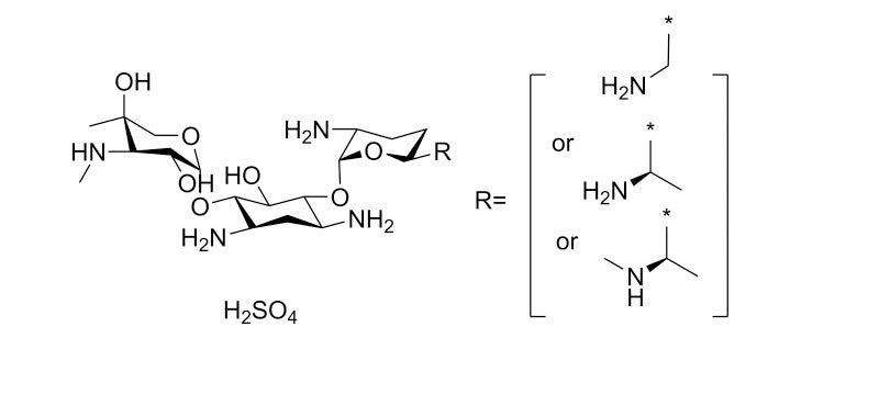 Gentamicin Sulfate Solution, 50mg/ml , 10ml