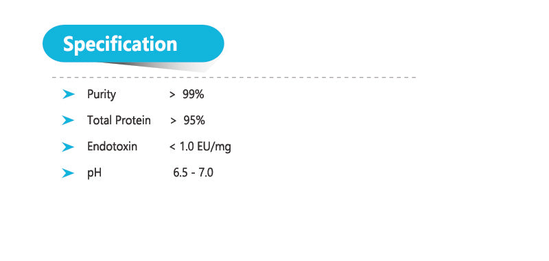 Human Serum Albumin (HSA), Recombinant from plant