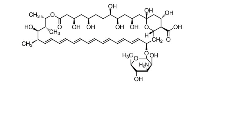 Amphotericin B, Streptomyces nodosus