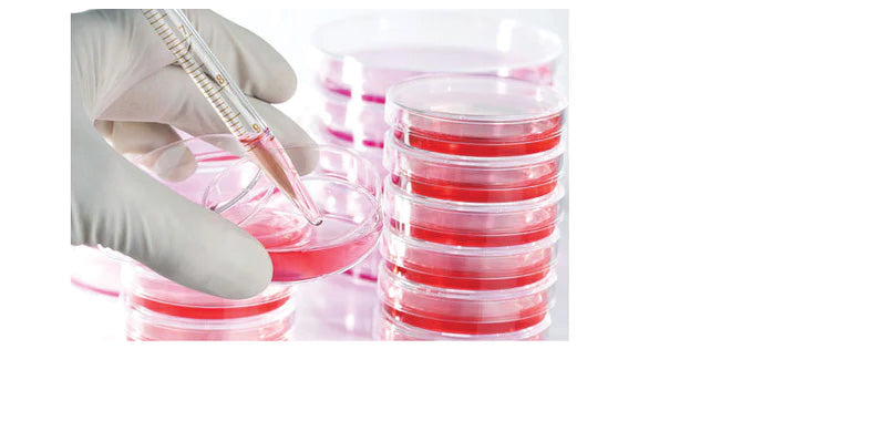 Dispase Solution, 5mg/ml in DMEM/F-12, 200ml
