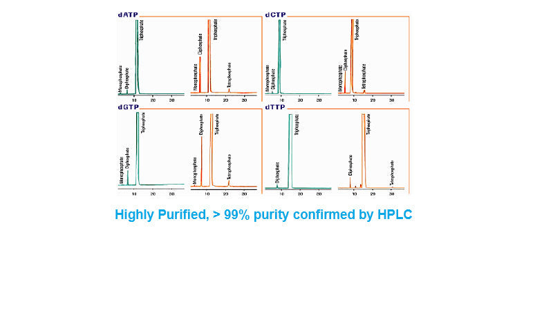 dNTP Mixtures ,25mM each , >99% by HPLC