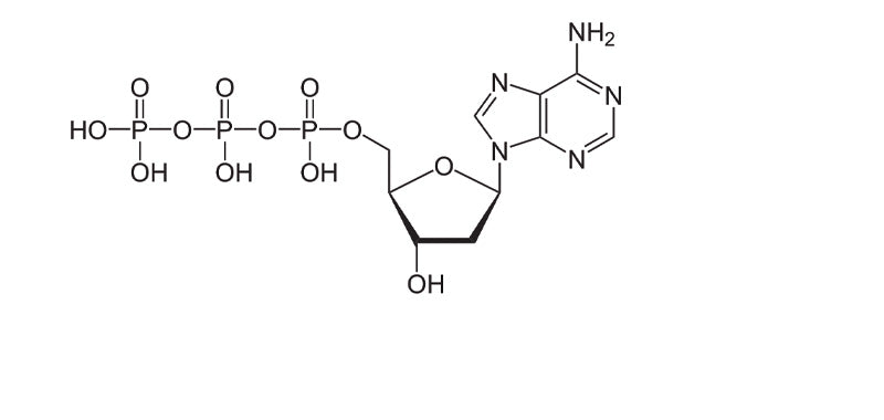 dATP,100mM, Ultra Pure, > 99.5% by HPLC