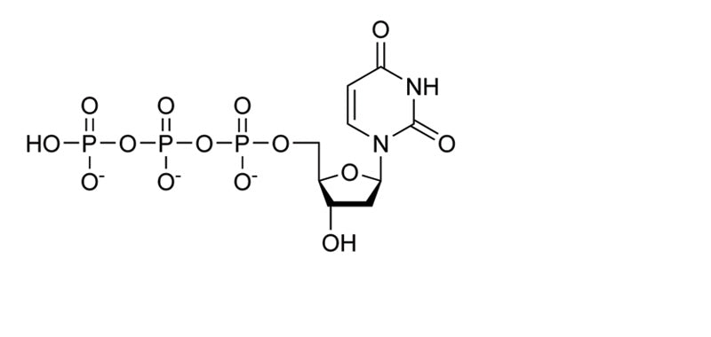 dUTP,100mM, Ultra Pure, > 99.5% by HPLC