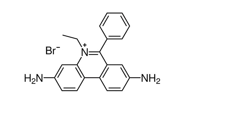 Ethidium Bromide Solution, 10 mg/ml