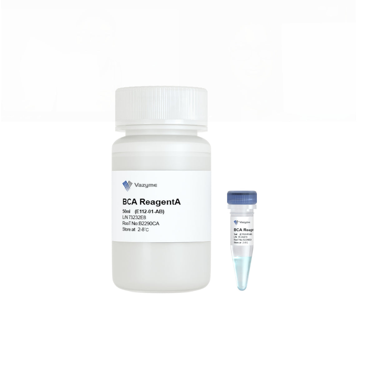 BCA Protein Quantification Kit E112