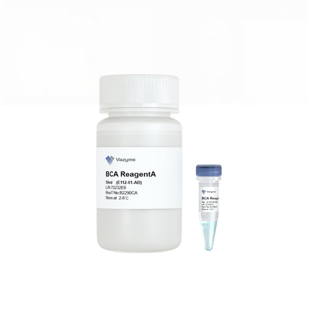 BCA Protein Quantification Kit E112