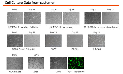 FBS Opti-Gold, Performance Enhanced