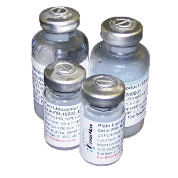 DSPC/CHOL (55:45 mol/mol) Liposomes with Ammonium Gradient (F20103A)